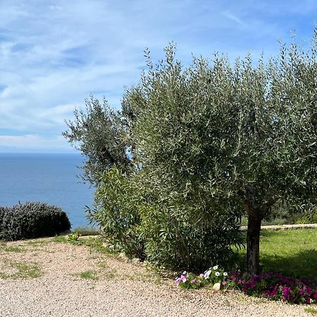 Stella D'Argento Bed & Breakfast Porto Santo Stefano  Exterior photo